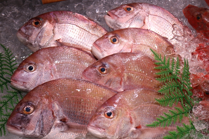 なめんなよ!小さくとも絶品!南知多産【ち鯛】