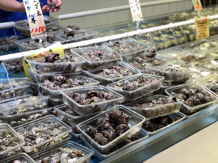 大きな貝柱、南知多産【平貝】