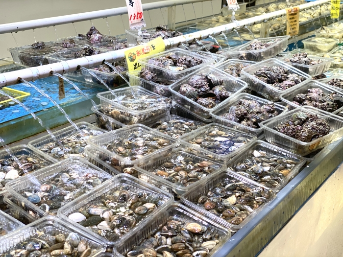豊漁につき、お値打ち!南知多産『白みる貝』