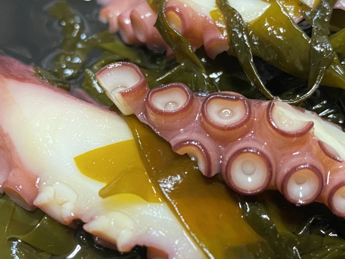 夏は魚貝の旬がいっぱい! たこ漁の最盛期!