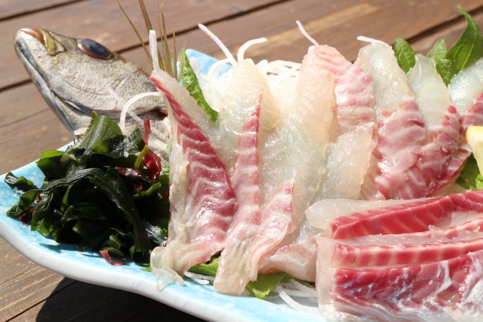 梅雨いさき 梅雨が嬉しいこの頃