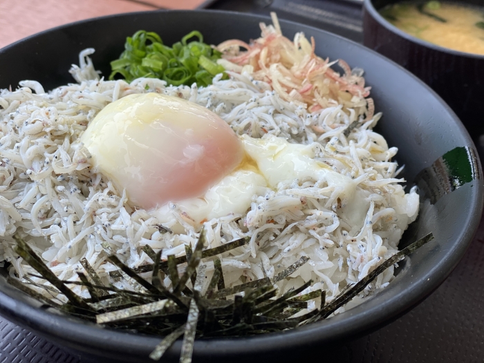 そろそろしらすの漁が終わります。
