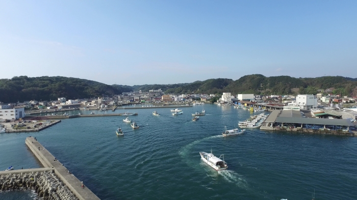 そろそろしらすの漁が終わります。