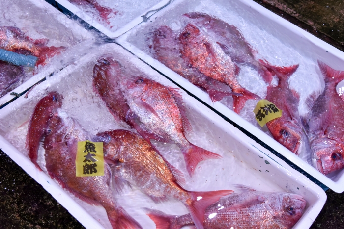 太陽が一番長く出ている日【夏至】は【父の日】