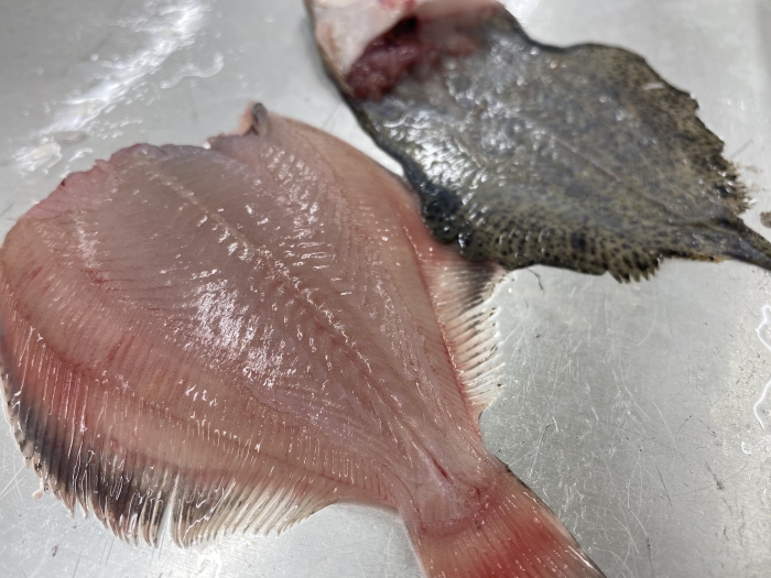 南知多で水揚げされる、豊富な小魚を満喫!