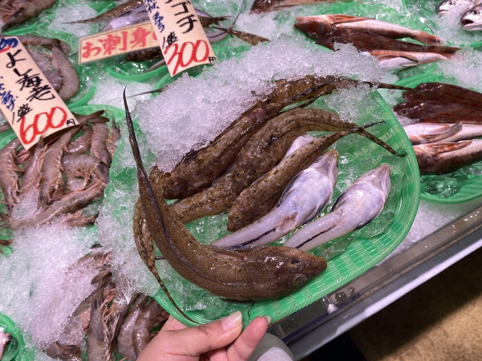 南知多で水揚げされる、豊富な小魚を満喫!