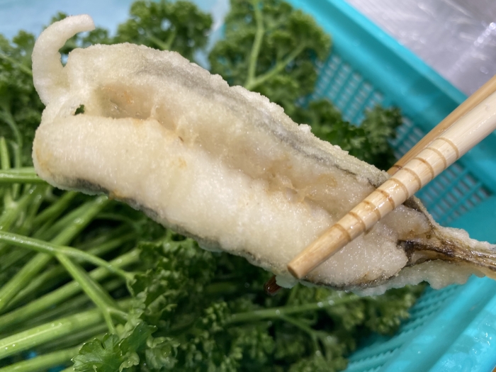 南知多で水揚げされる、豊富な小魚を満喫!