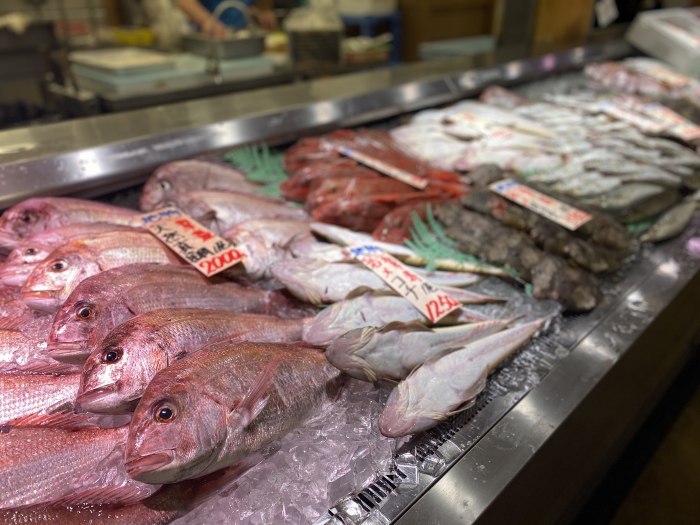 南知多で水揚げされる、豊富な小魚を満喫!