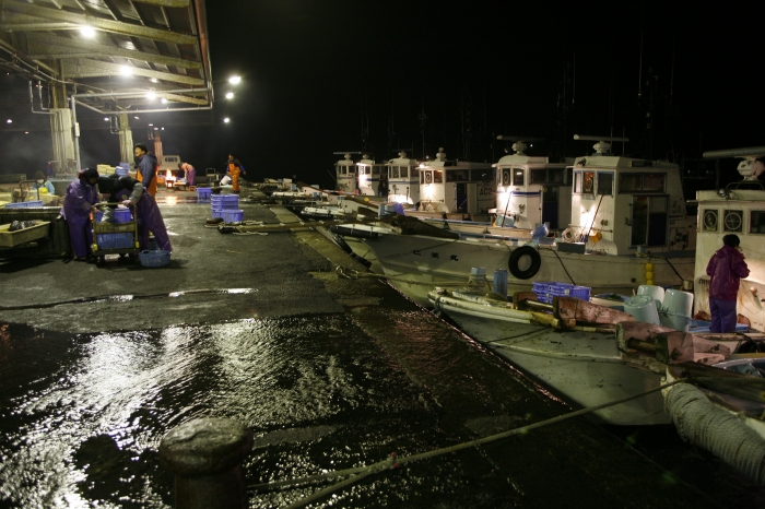 南知多の人気者【シャコ】 今では希少な地元の味。