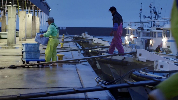 南知多の人気者【シャコ】 今では希少な地元の味。