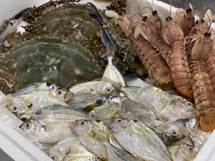 漁師のごった煮 元漁師の店長おすすめ!