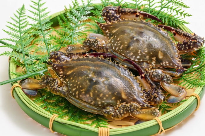 漁師のごった煮 元漁師の店長おすすめ!