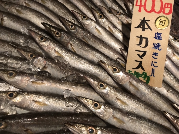 漁師のごった煮 元漁師の店長おすすめ!