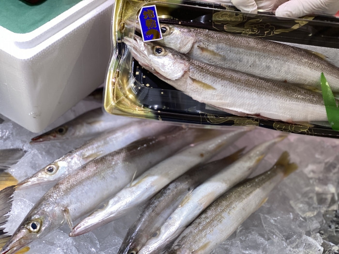 もうすぐ敬老の日。新鮮魚介類を送ろう!