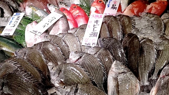 もうすぐ敬老の日。新鮮魚介類を送ろう!