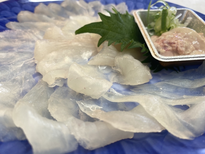 久しぶりの水揚げ、癒し系【ウマズラハギ】