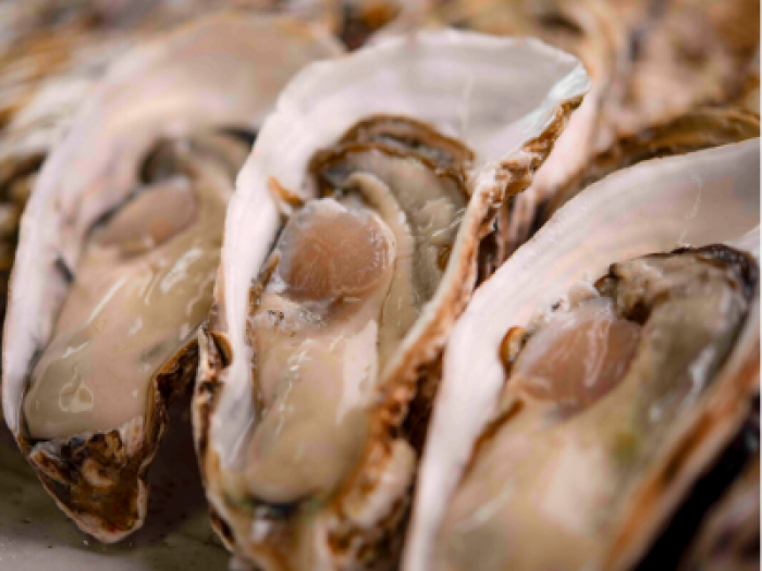 地物。篠島産朋輩牡蠣-愛知県初の生食牡蠣--