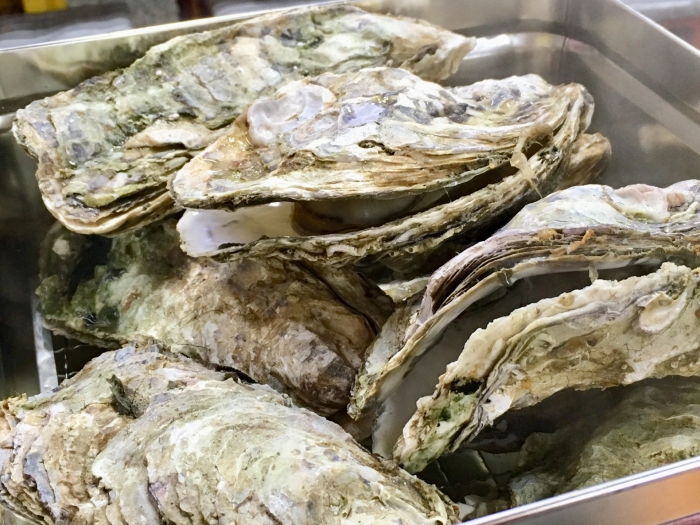 地物。篠島産朋輩牡蠣-愛知県初の生食牡蠣--