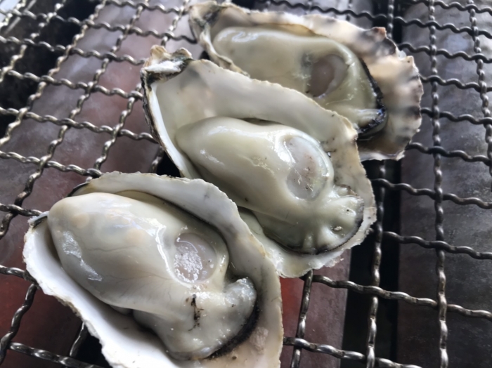 地物。篠島産朋輩牡蠣-愛知県初の生食牡蠣--