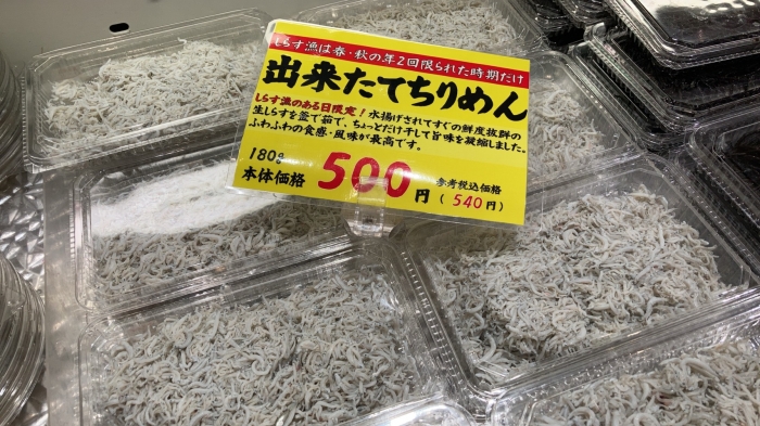 本日しらす漁ありました!