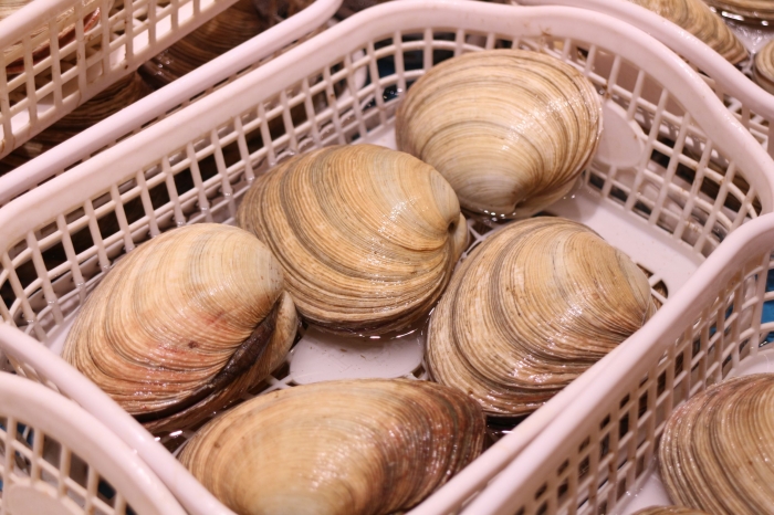 雨のゴールデンウィーク