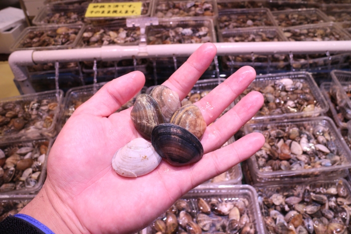 雨のゴールデンウィーク