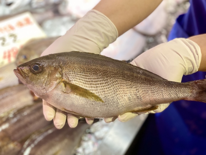 俺たち魚屋の大好物!この季節が待ち遠しい!梅雨イサキ