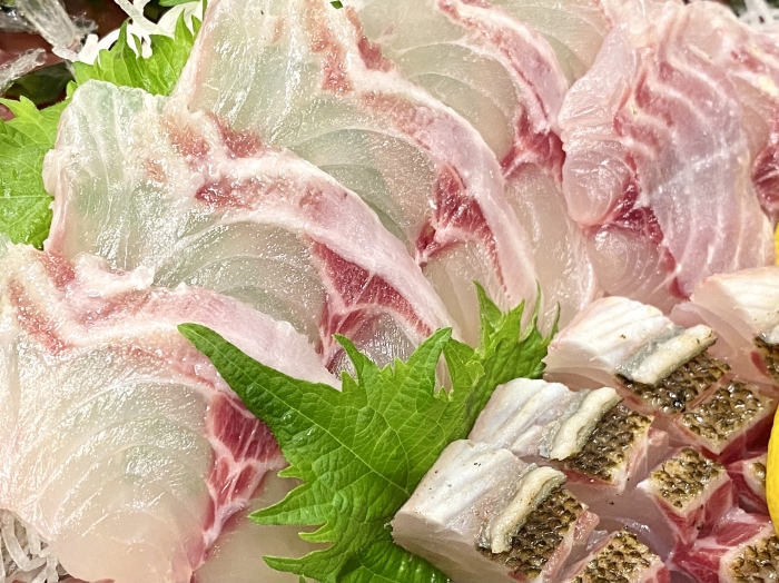 俺たち魚屋の大好物！この季節が待ち遠しい！梅雨イサキ