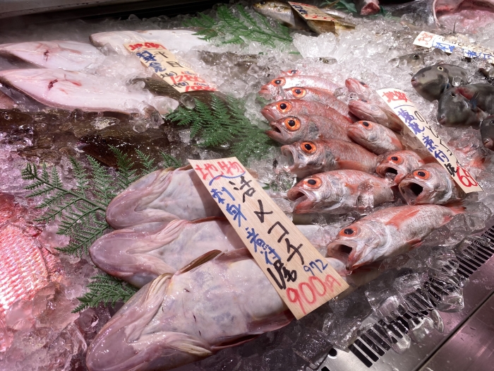 魚太郎ピチピチブログ 夏が旬の高級魚 真コチ がお値打ち 知多半島の魚貝類 鮮魚から干物まで直送する 魚太郎