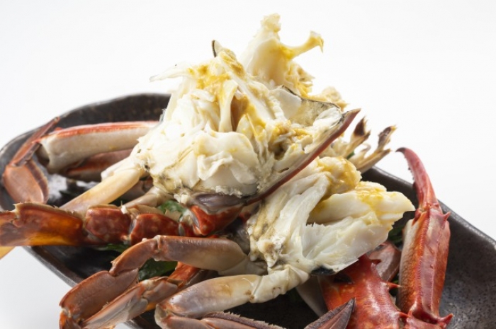 『夏の知多半島の旬の魚貝セット』販売開始