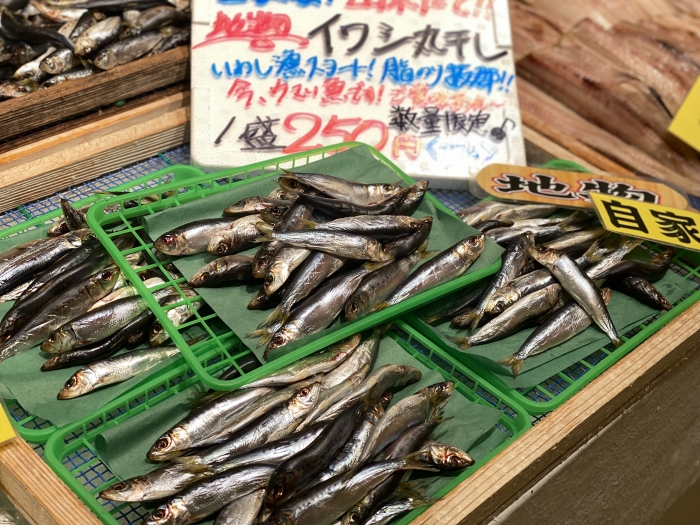 南知多の夏は、イワシがないと始まらない!