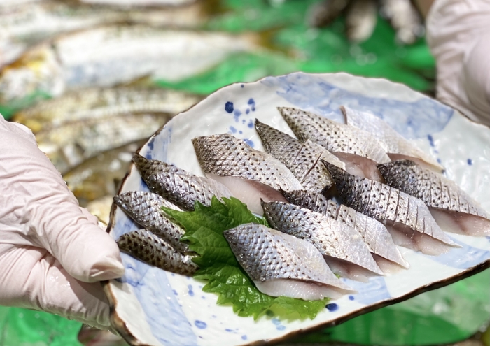 地元のおかーちゃんレシピ コノシロの酢漬け 知多半島の魚貝類 鮮魚から干物まで直送する 魚太郎