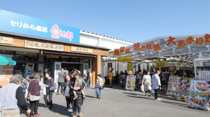 深海漁始まりました!三河湾産クロムツ