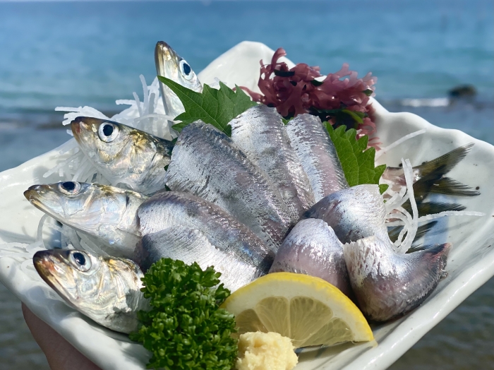 1(い)0(わ)4(し)本日はいわしの日(^^)/