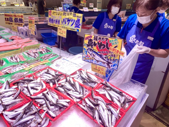 1(い)0(わ)4(し)本日はいわしの日(^^)/