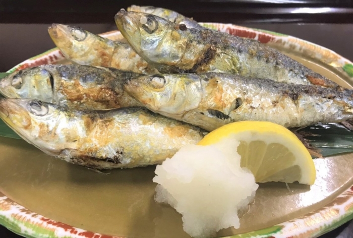 1(い)0(わ)4(し)本日はいわしの日(^^)/