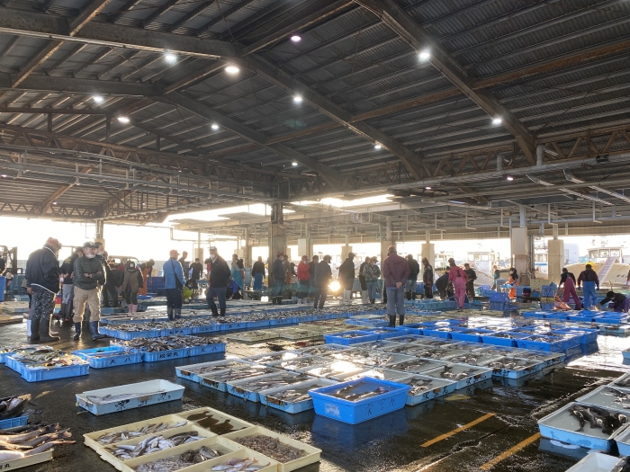 冬が旬の海産物は何をイメージしますか?