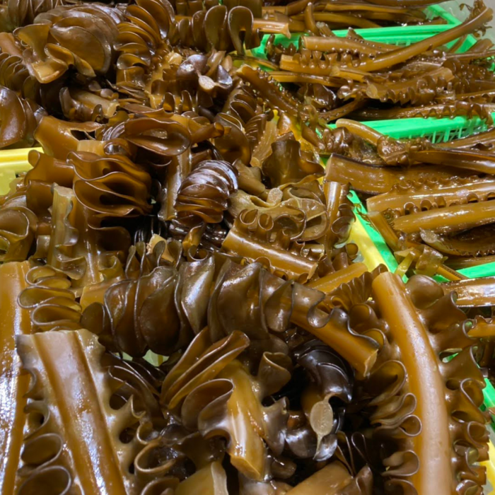 冬が旬の海産物は何をイメージしますか?