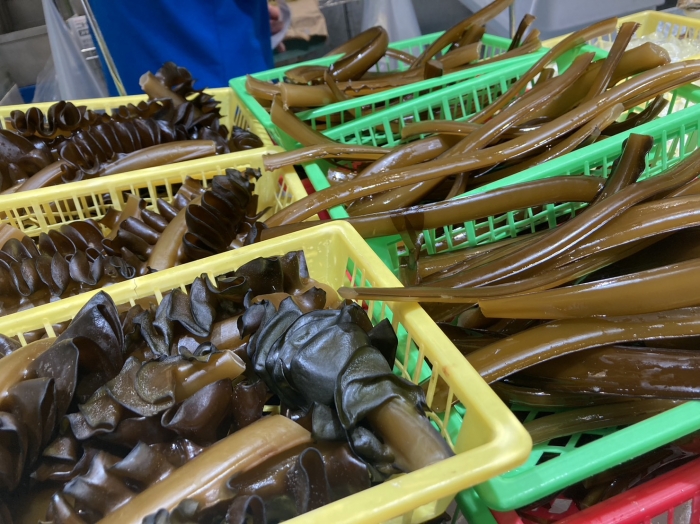 冬が旬の海産物は何をイメージしますか?