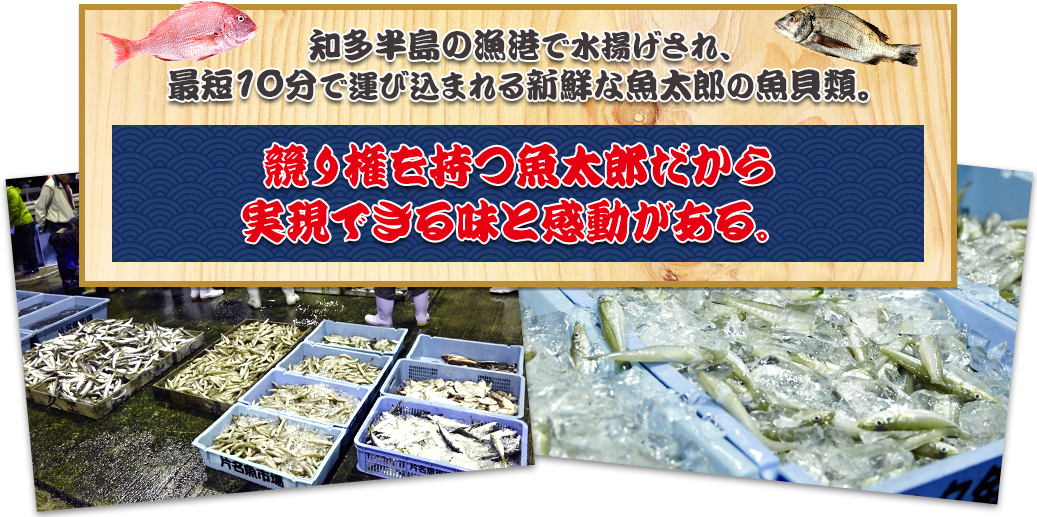 競り権を持つ魚太郎だから実現できる味と感動がある。