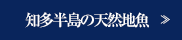 知多半島の天然地魚