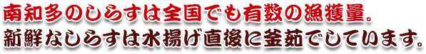 鮮度にこだわった魚太郎のちりめん。
南知多は全国でも有数の漁獲量。