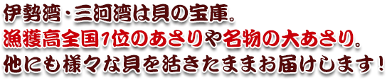 伊勢湾・三河湾は貝の宝庫。漁獲高全国1位のあさりや名物の大あさり。
他にも様々な貝を活きたままお届けします！