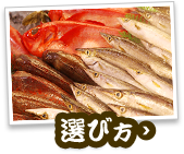 魚の選び方