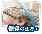 魚の保存の仕方