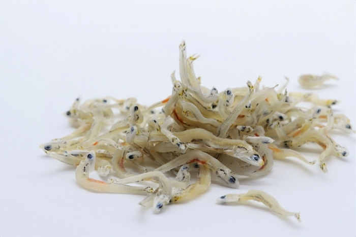 南知多産　かちり（上干ちりめん）