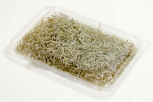 南知多産　かちり（上干ちりめん）