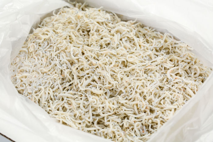 南知多産 しらす干し(ちりめんじゃこ)1kg(化粧箱入)