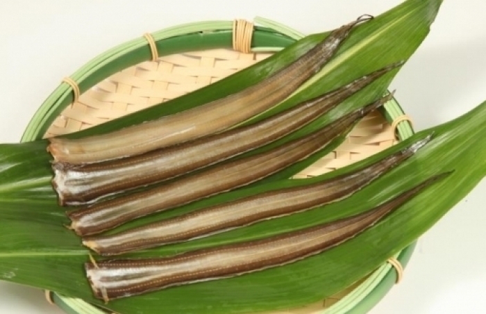 天日干し 穴子醤油みりん干し(真空パック)