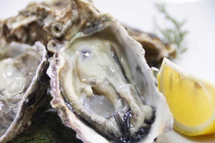 殻付き牡蠣（~14：00までの注文で当日発送！）